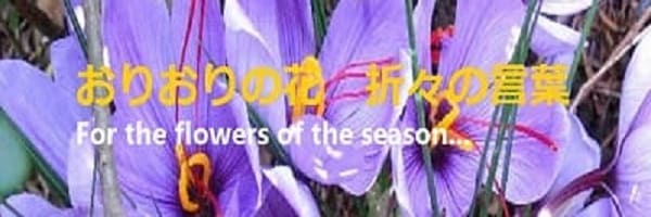 おりおりの花　折々の言葉